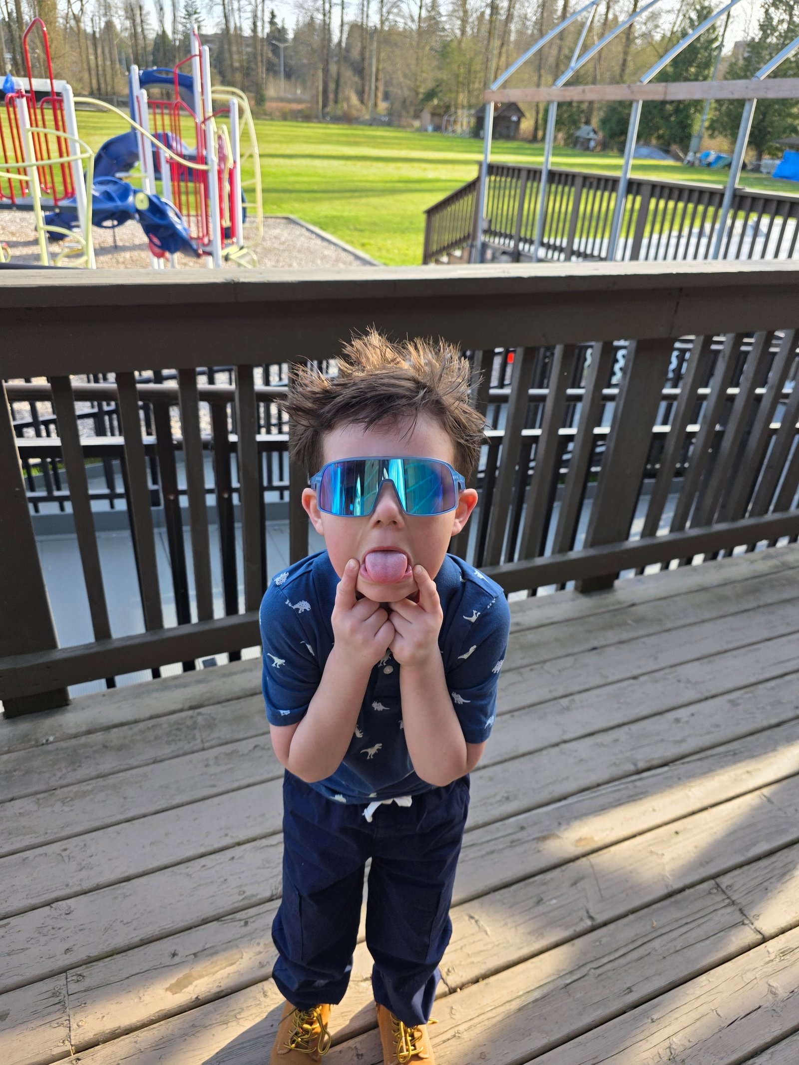 shared_69d2062b83c8e_1775371819.jpg